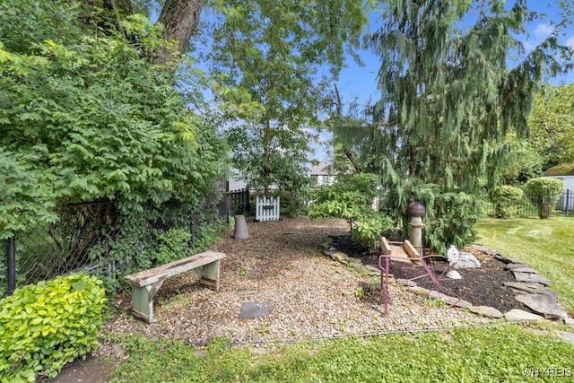 1581 N Forest Rd, Amherst, NY 14221 - view of yard