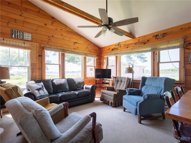 133 Chipman Ln Unit 129, 131, Sandy Creek, NY 13145 - photo 24