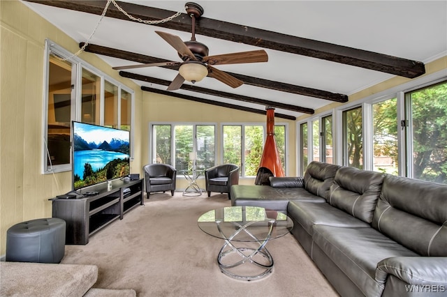 204 Belvoir Rd, Amherst, NY 14221 - living area with healthy amount of natural light, carpet, and ceiling fan