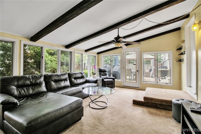 204 Belvoir Rd, Amherst, NY 14221 - living room featuring healthy amount of natural light, ceiling fan, and carpet flooring