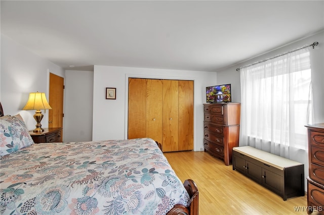 204 Belvoir Rd, Amherst, NY 14221 - bedroom with light wood-style floors and a closet