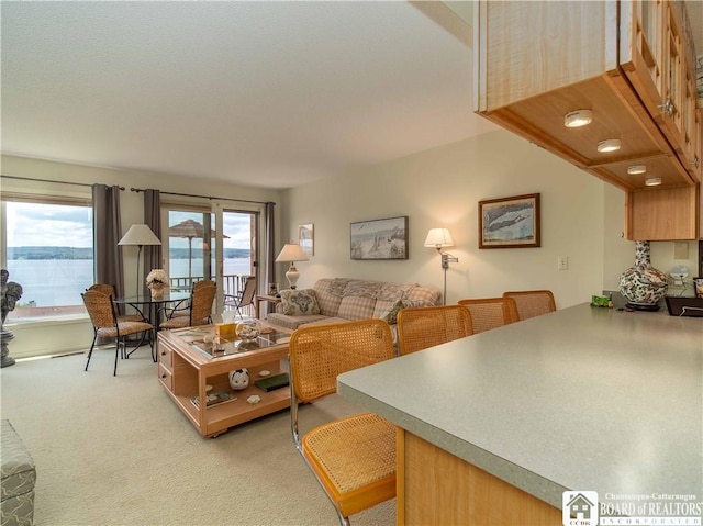 38 Oneida Dr, Chautauqua, NY 14728 - living area with light carpet