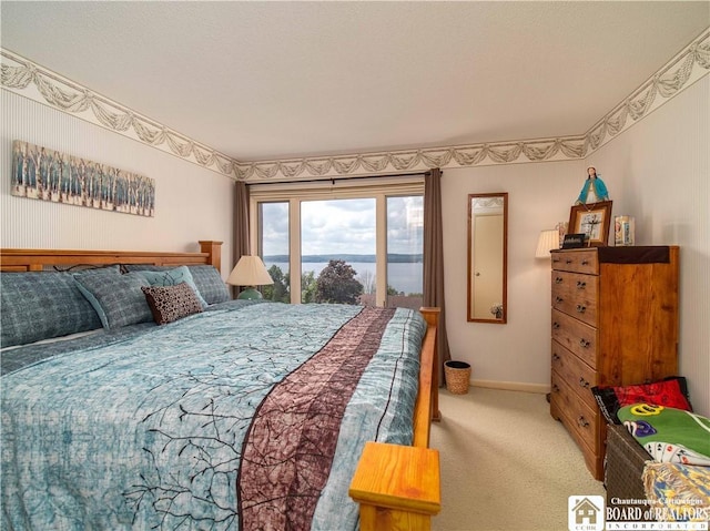38 Oneida Dr, Chautauqua, NY 14728 - bedroom with carpet floors and access to exterior