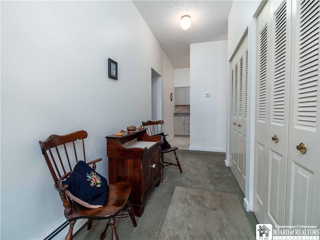 5 Oneida St, Chautauqua, NY 14728 - hallway with carpet and baseboards