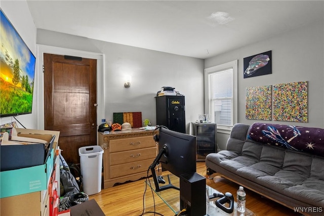 532 Linden Ave, Buffalo, NY 14216 - living room featuring light wood finished floors