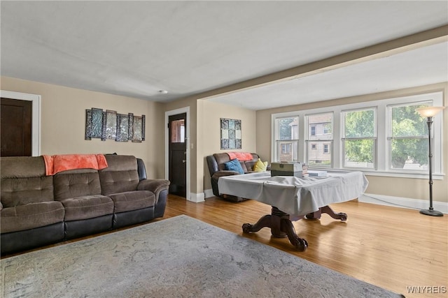532 Linden Ave, Buffalo, NY 14216 - living room with wood finished floors and billiards table
