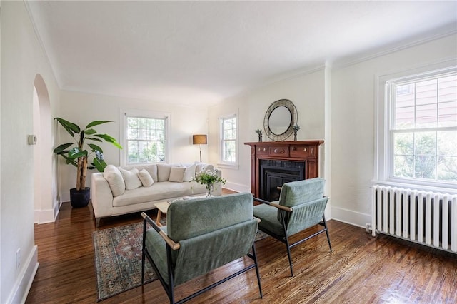 240 Sagamore Dr, Irondequoit, NY 14617 - living area with radiator, arched walkways, wood finished floors, a glass covered fireplace, and crown molding