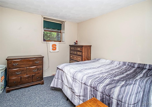 4300 Mutton Hill Rd, Fenner, NY 13035 - photo 28