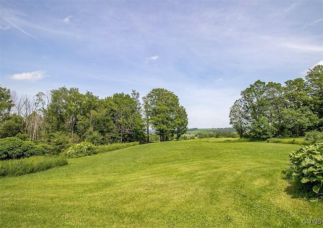 4300 Mutton Hill Rd, Fenner, NY 13035 - photo 7