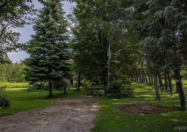 4300 Mutton Hill Rd, Fenner, NY 13035 - photo 41