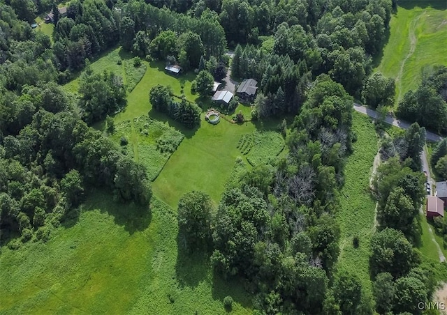 4300 Mutton Hill Rd, Fenner, NY 13035 - photo 43