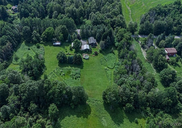 4300 Mutton Hill Rd, Fenner, NY 13035 - photo 44