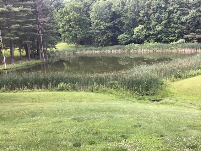 10695 Sandy Hill Rd, Dansville, NY 14437 - view of woods with a water view