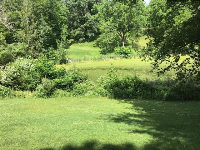 10695 Sandy Hill Rd, Dansville, NY 14437 - view of green lawn
