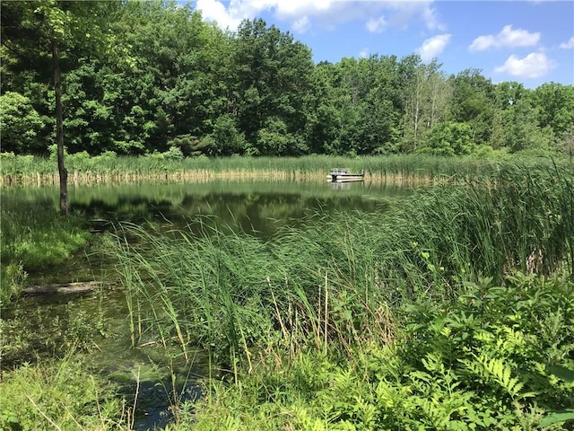 10695 Sandy Hill Rd, Dansville, NY 14437 - view of wooded area with a water view