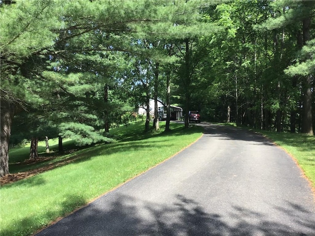 10695 Sandy Hill Rd, Dansville, NY 14437 - view of street with a wooded view