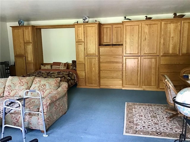 10695 Sandy Hill Rd, Dansville, NY 14437 - bedroom featuring carpet floors
