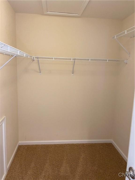 107 Shaker Hts, Camillus, NY 13031 - spacious closet with carpet floors and attic access