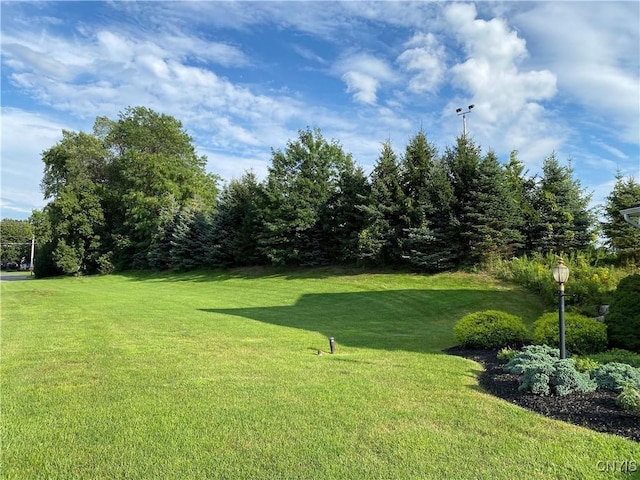 107 Shaker Hts, Camillus, NY 13031 - view of grassy yard