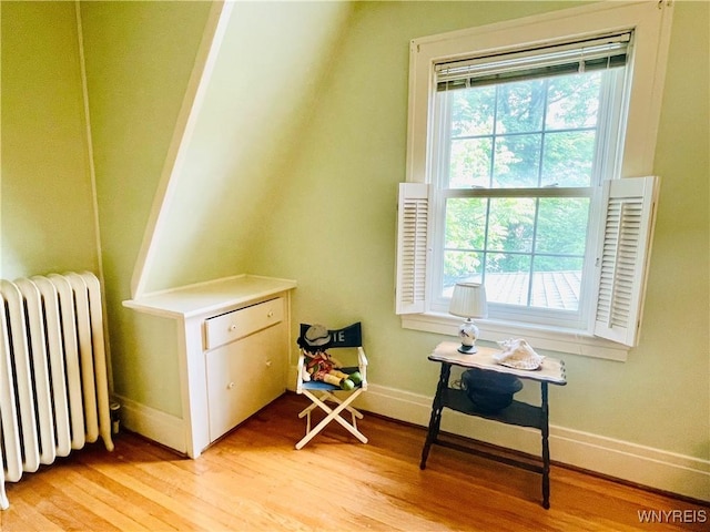 2721 Bowen Rd, Elma, NY 14059 - additional living space featuring radiator, healthy amount of natural light, and light wood-style floors