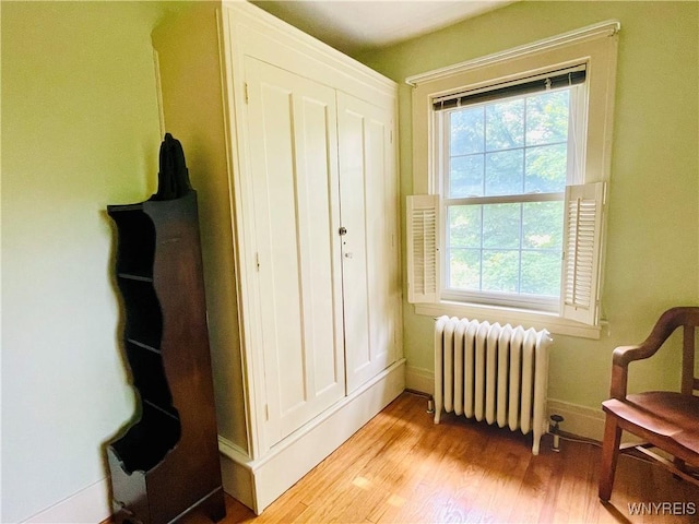 2721 Bowen Rd, Elma, NY 14059 - living area with radiator and light wood finished floors
