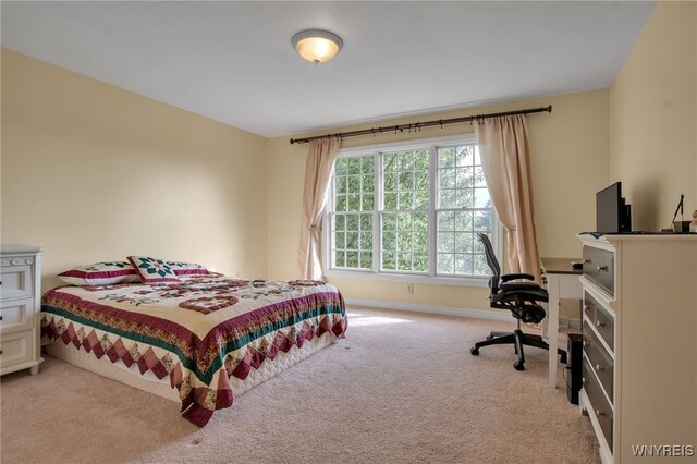 5252 Mallard Roost, Clarence, NY 14221 - photo 33