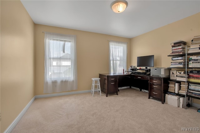 5252 Mallard Roost, Clarence, NY 14221 - photo 34
