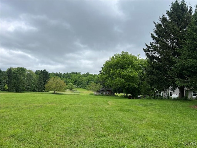 4067 Taylor Rd, Pompey, NY 13078 - view of grassy yard