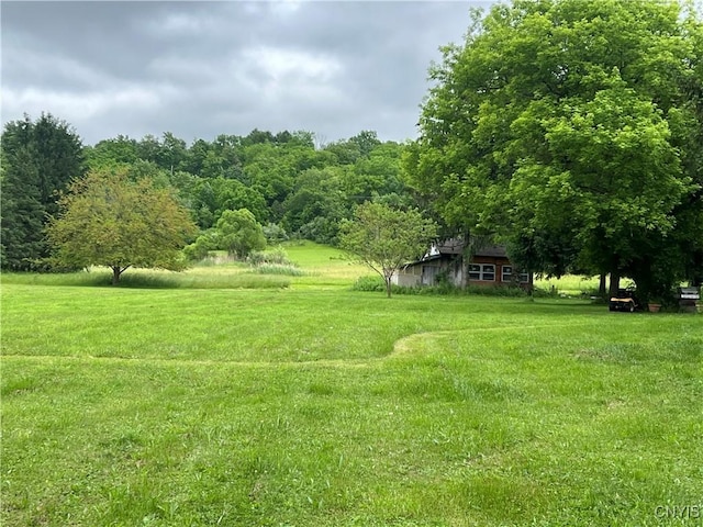 4067 Taylor Rd, Pompey, NY 13078 - view of green lawn with a forest view