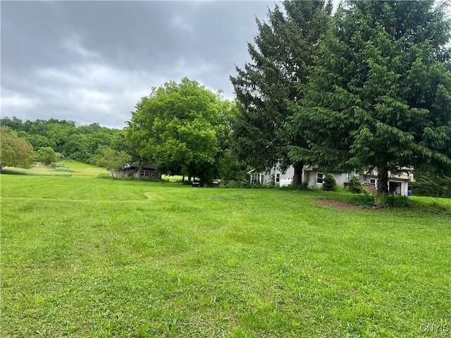 4067 Taylor Rd, Pompey, NY 13078 - view of green lawn