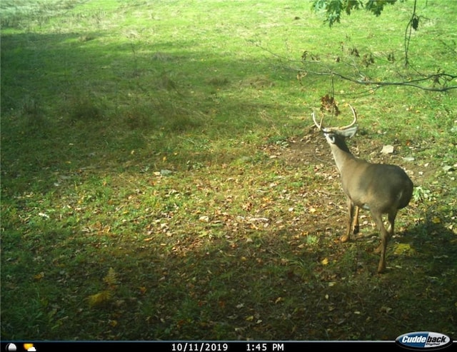 Gregory Hollow Rd, Hamden, NY 13782 - photo 19
