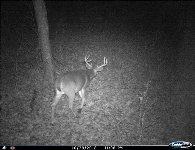 Gregory Hollow Rd, Hamden, NY 13782 - photo 20