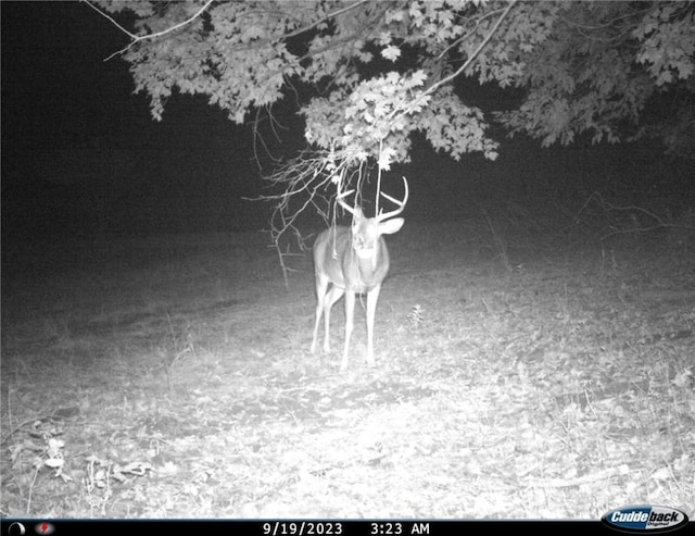 Gregory Hollow Rd, Hamden, NY 13782 - photo 21