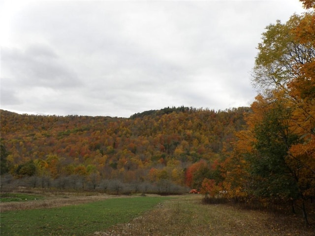 Gregory Hollow Rd, Hamden, NY 13782 - photo 1