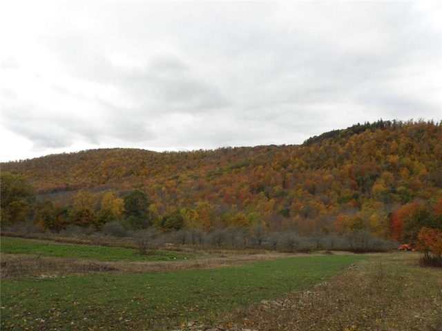 Gregory Hollow Rd, Hamden, NY 13782 - photo 2