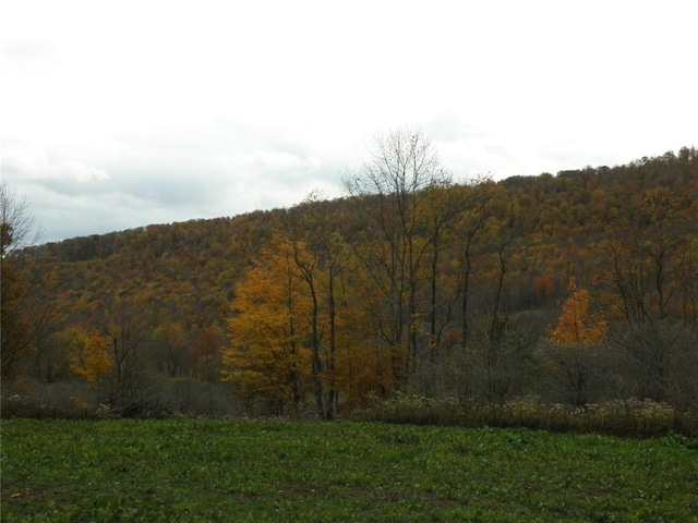 Gregory Hollow Rd, Hamden, NY 13782 - photo 3