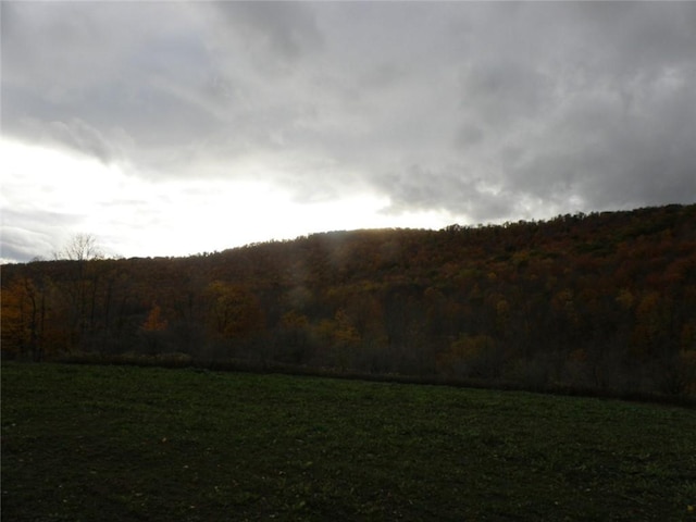 Gregory Hollow Rd, Hamden, NY 13782 - photo 4