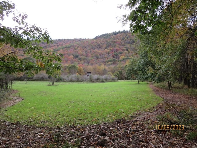 Gregory Hollow Rd, Hamden, NY 13782 - photo 5