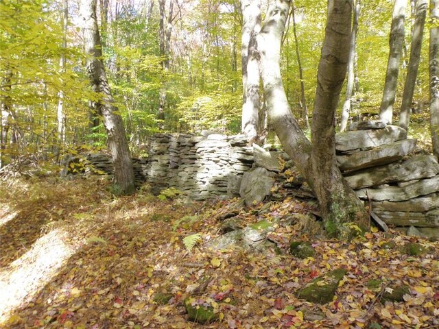 Gregory Hollow Rd, Hamden, NY 13782 - photo 8
