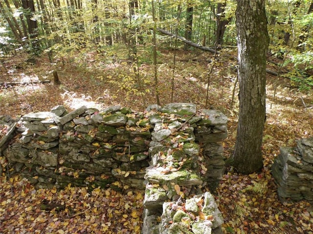 Gregory Hollow Rd, Hamden, NY 13782 - photo 10