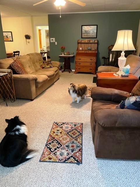19 N Belmont Cir, Oneonta, NY 13820 - photo 4