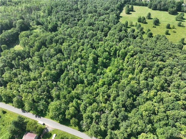 Preston Hill Rd, Vienna, NY 13316 - photo 3