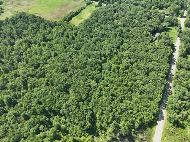 Preston Hill Rd, Vienna, NY 13316 - photo 4