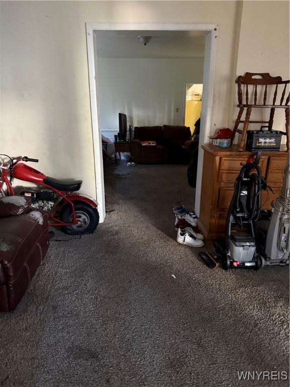 56 Shepard St, Buffalo, NY 14212 - photo 16