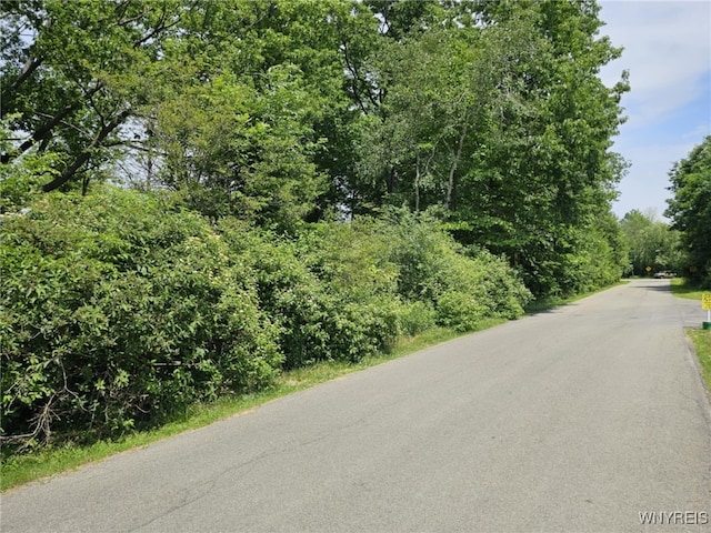 9465 Gray St, Evans, NY 14006 - photo 4
