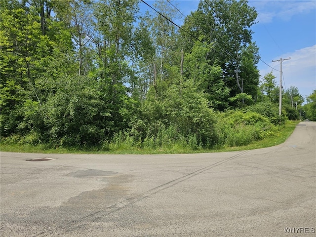 9465 Gray St, Evans, NY 14006 - photo 5