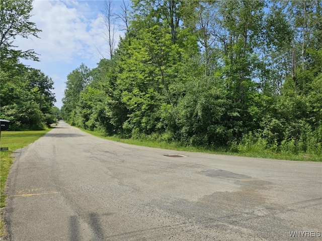 9465 Gray St, Evans, NY 14006 - photo 6