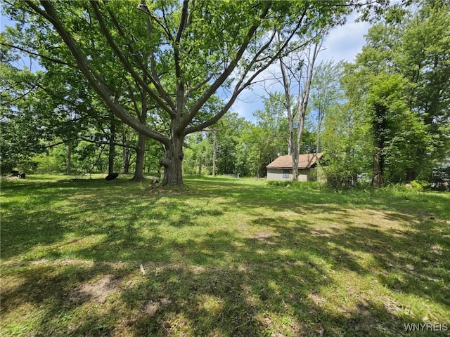 9465 Gray St, Evans, NY 14006 - photo 10