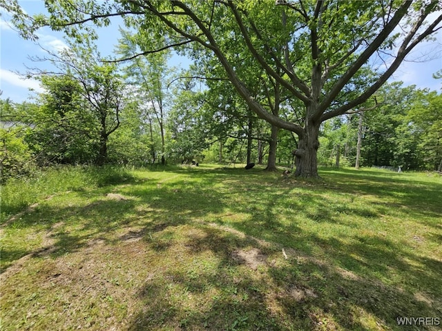 9465 Gray St, Evans, NY 14006 - photo 12