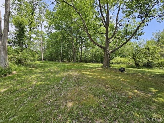 9465 Gray St, Evans, NY 14006 - photo 14